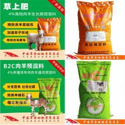 羊吃什么飼料長得快？科學養羊飼料指南